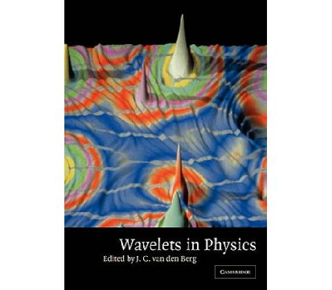 Wavelets in Physics