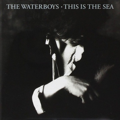 Waterboys - The - This Is the Sea CD