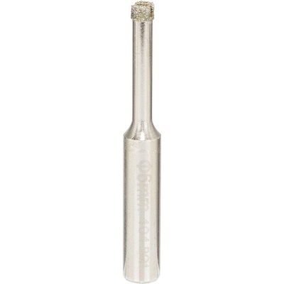 Bosch 2609256C97