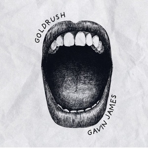 Gavin James - Goldrush (Digisleeve) (CD) (0198028727921)