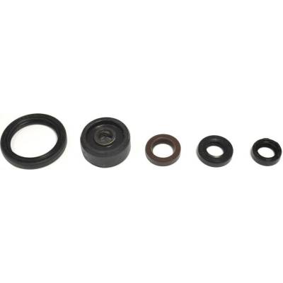 Sada gufer motoru ATHENA P400485400154