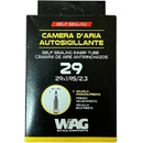 WAG FV