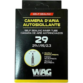 WAG FV
