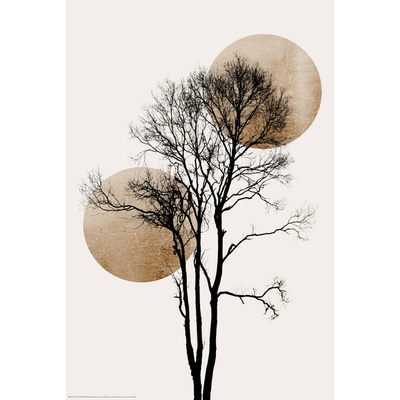 Plagát, Obraz - Sun and Moon Hiding GOLD, 61 × 91.5 cm
