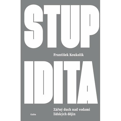 Stupidita: Zářný duch nad vodami lidských dějin