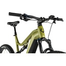 Leader Fox Argus 2 2024