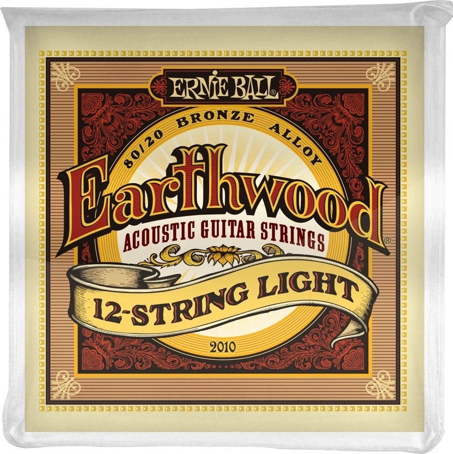 Ernie Ball 2010