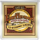 Ernie Ball 2010