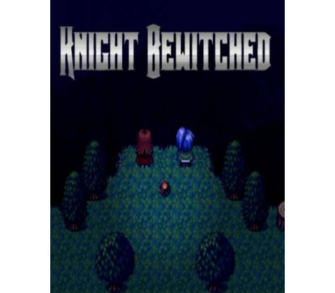 Knight Bewitched