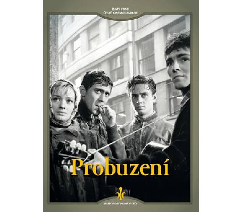 Probuzení DVD