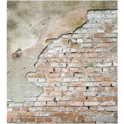 DIMEX vliesová fototapeta na zeď Oprýskaný múr 225 x 250 cm