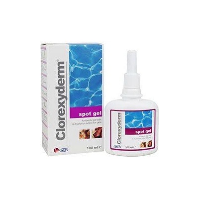 ICF Clorexyderm spot gel 100 ml