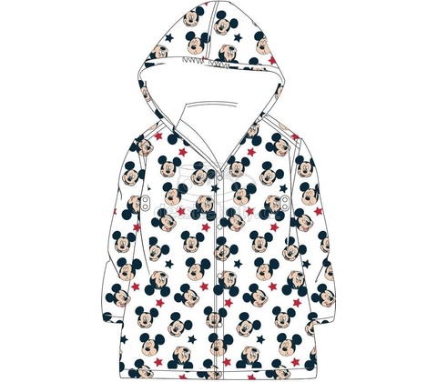 Eexee Mickey Mouse