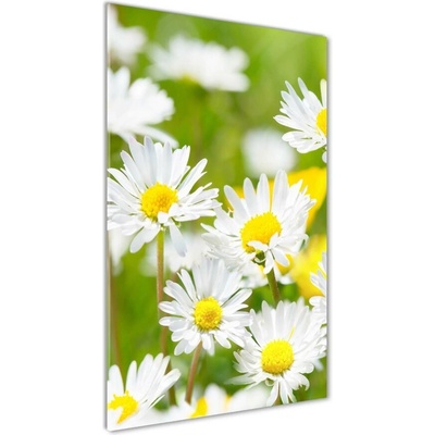 Vertikálny foto obraz fotografie na skle Sedmokrásky 50x100 cm
