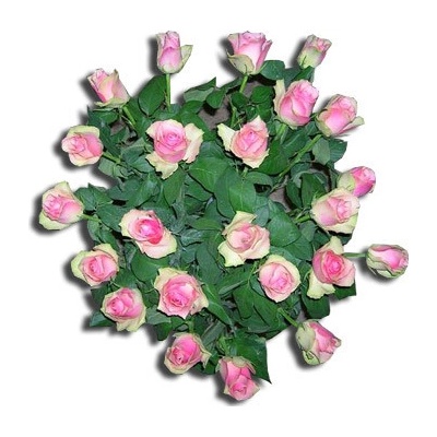 Kytica z ruží Bella Rose, 33 ruží, oranžová