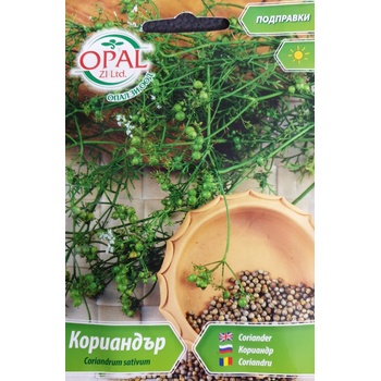 Opal Zi Кориандър Coriandrum sativum