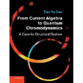 Image 1 of From Current Algebra to Quantum Chromodynamics | Tian Yu Cao