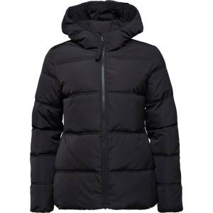 LOAP TARLETA S
