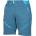 PROGRESS Genius shorts s