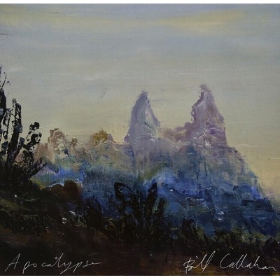 Bill Callahan - Apocalypse (LP) (781484045014)