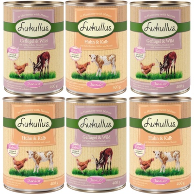Lukullus Naturkost Junior zkušební balení 2 druhy 6 x 400 g
