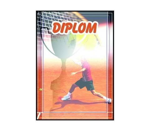 diplom 68