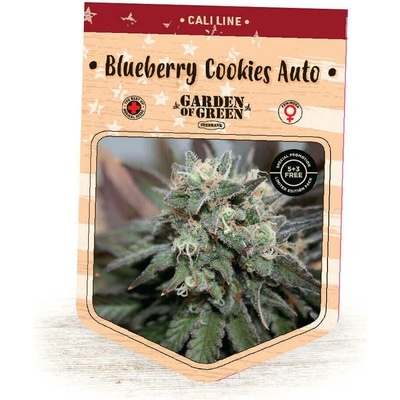Garden Of Green Seedbank Blueberry Cookies AUTO semena neobsahují THC 5 ks