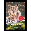 Divoké Slovensko