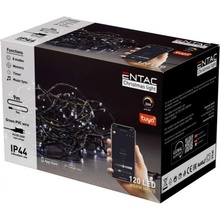 Entac Christmas IP44 120 LED Festoon WW 9m Tuya APP