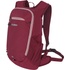 Husky Peten 15l faded bordo