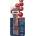 Derwent 6 Pack 2301774