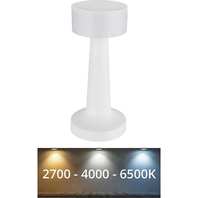 GLOBO 58447W