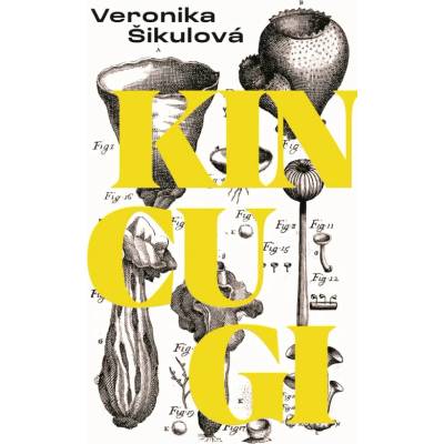 Kincugi - Veronika Šikulová