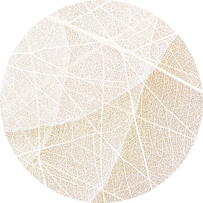 AG Design CR3331 Samolepicí vliesová fototapeta White Paths rozměry 140 x 140 cm