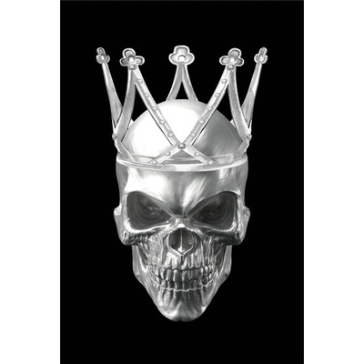 Obraz na skle SKULL 2 - 80x120 cm, čiernobiele