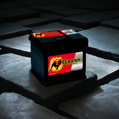 Banner Power Bull 12V 50Ah 450A P50 03