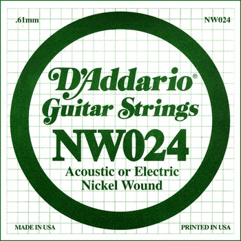 D'Addario NW 024