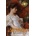 Engage Classics Pride and Prejudice (Deluxe Library Binding) | Jane Austen