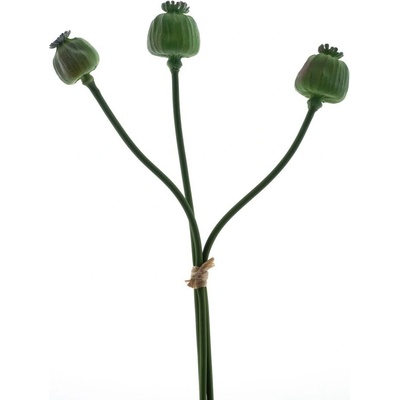 Mák ovoce svazek x3ks zelený V55 cm