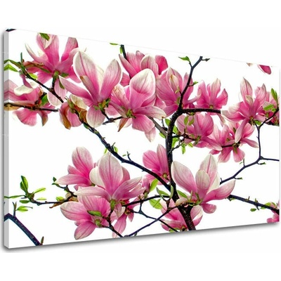 Obraz na stenu KVETY - 20x30