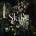 Sven Helbig - Skills (LP) (4050538705997)