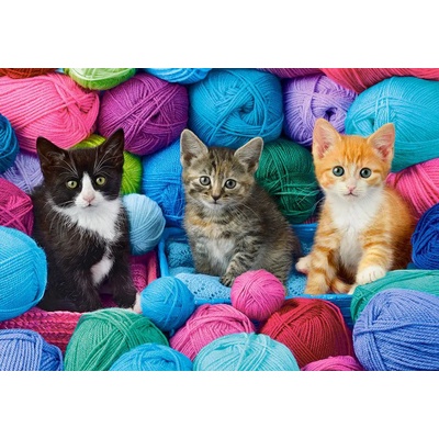 Castorland - Puzzle Kittens in Yarn Store - 1 000 piese
