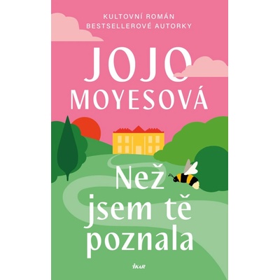 Než jsem tě poznala