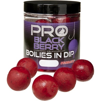 Starbaits boilies v dipu PRObiotic Blackberry 150g 20mm