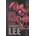 Independently published Three Little Pigs | Edward Lee