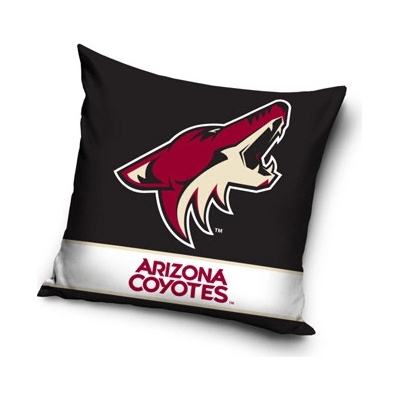 TIP Vankúš NHL Arizona Coyotes 40x40