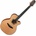 Takamine LTD2023 Santa Fe Natural