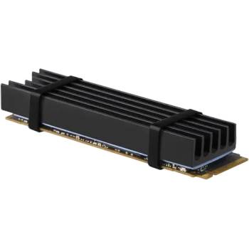 AXAGON CLR-M2L10