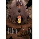 Tiny Echo