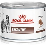 Royal Canin weterynaria ROYAL CANIN Recovery 195g